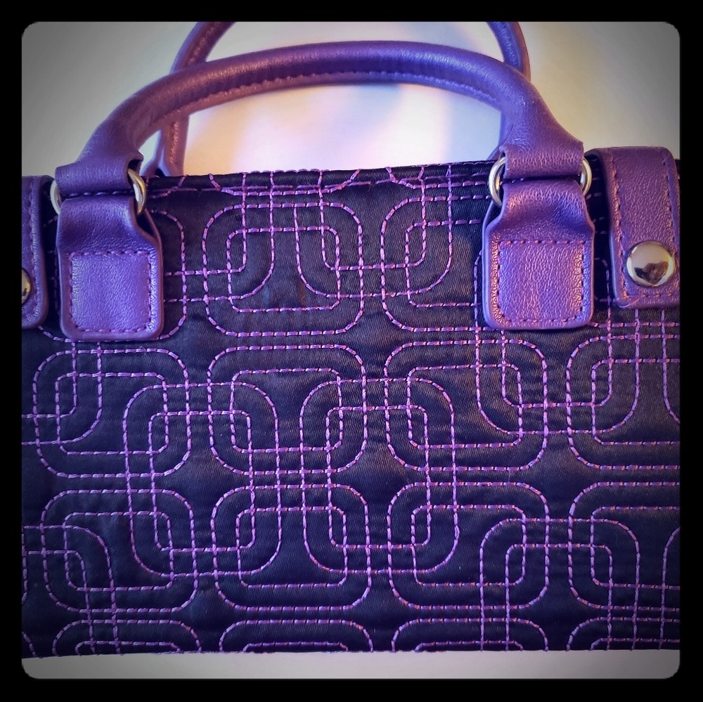 Black and Purple DS carrying case.